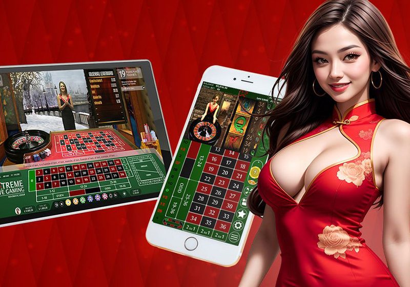 Đọc bảng kết quả theo từng giải trước phiên sử dụng – MF88